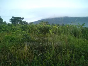 Land for Sale at Affordable Price