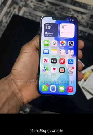 Apple iPhone 13 Pro 256 GB Gray
