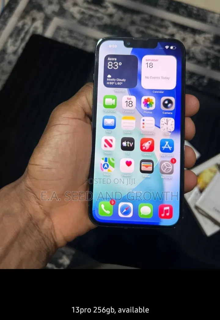 Apple iPhone 13 Pro 256 GB Gray