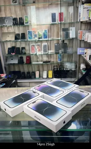 Apple iPhone 13 Pro 256 GB Gray