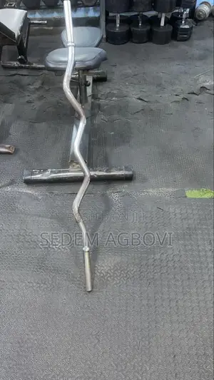 Standard Barbells