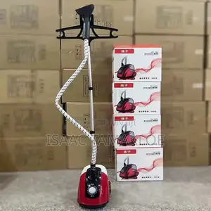 Garment Steam Iron