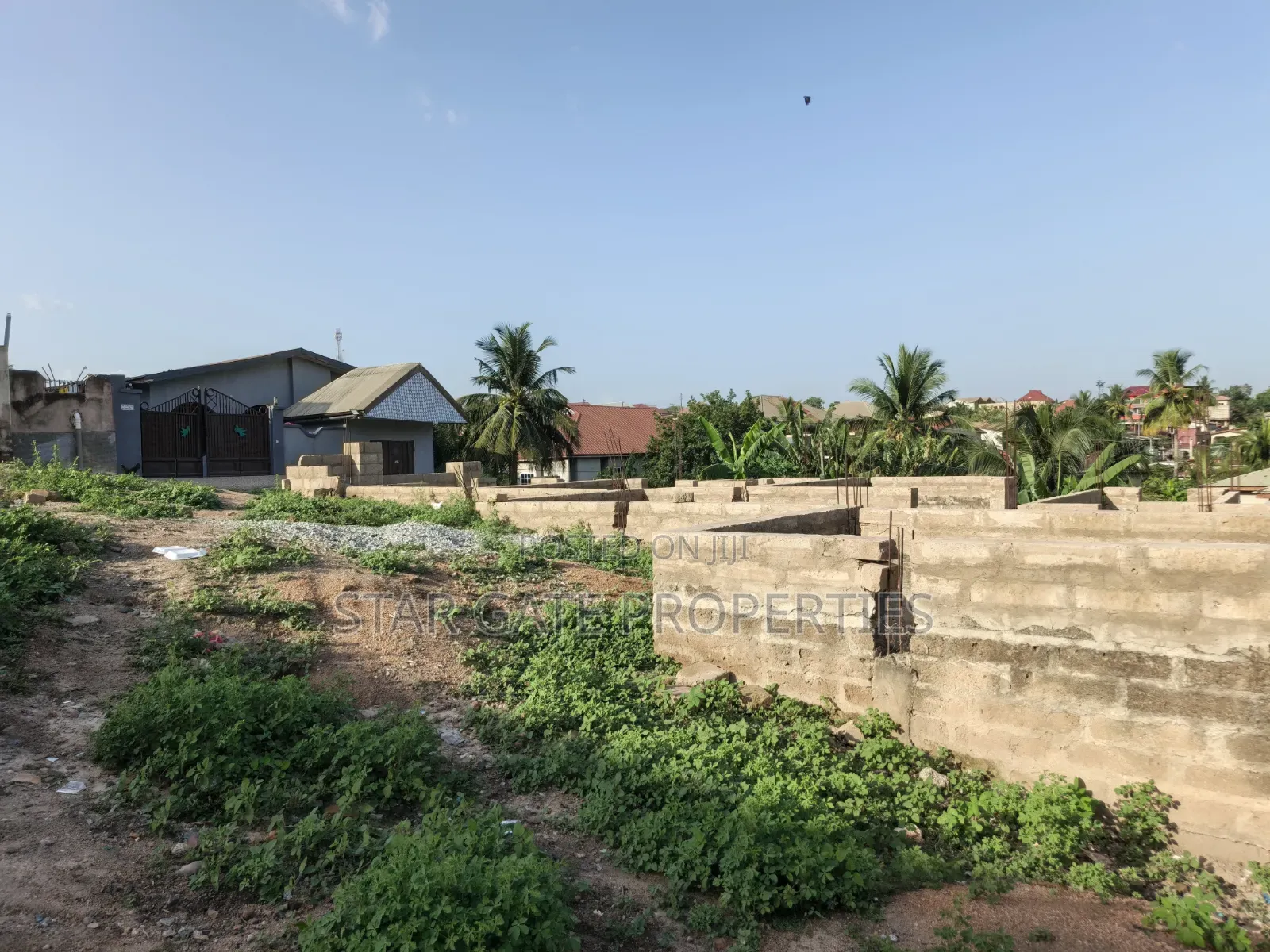 Plot for Sale at Buoho ( 7th Plot Main Highway)