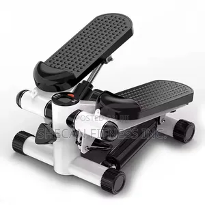 Multi-Funtional Twist Mini Stepper Machine