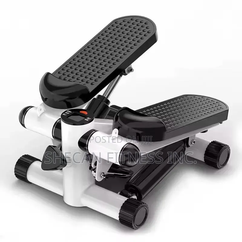 Multi-Funtional Twist Mini Stepper Machine