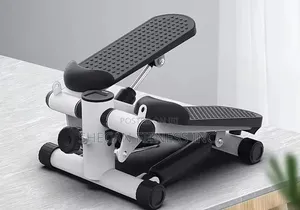 Multi-Funtional Twist Mini Stepper Machine