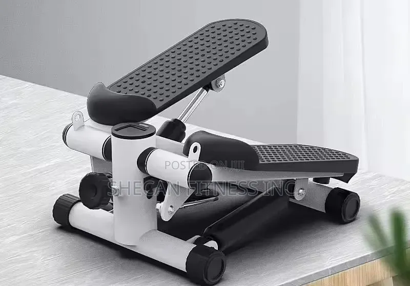 Multi-Funtional Twist Mini Stepper Machine