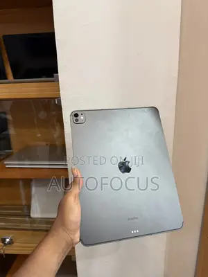Apple iPad Pro 13 (2025) 256 GB Gray