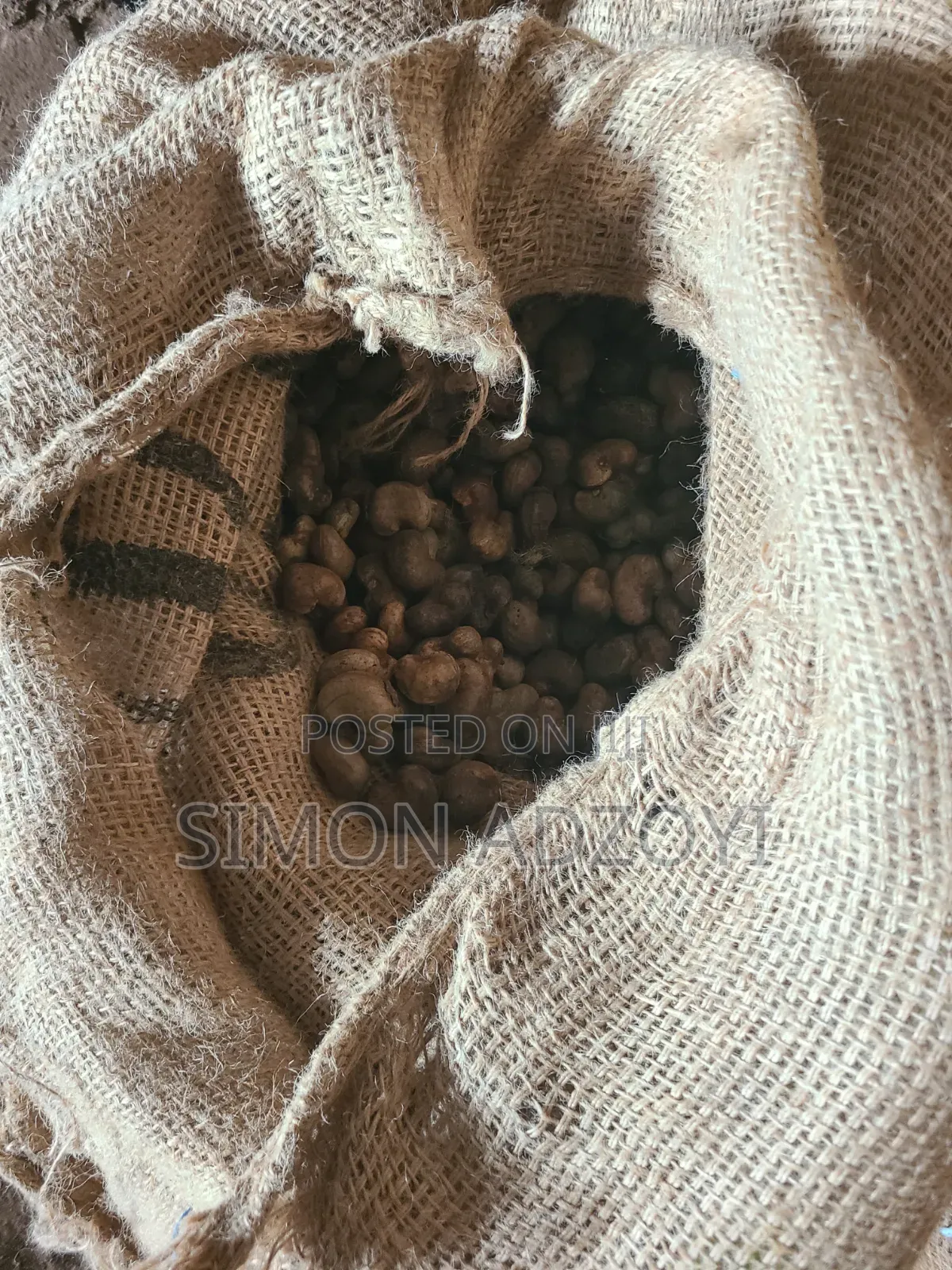 Cashew Nuts for Sale