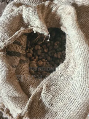 Cashew Nuts for Sale