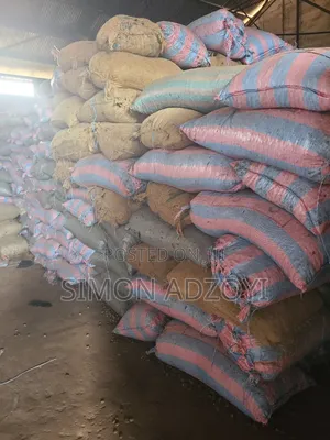Cashew Nuts for Sale