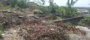 Half Plot of Land