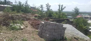 Half Plot of Land