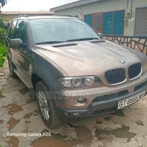 BMW X5 2010 Gray