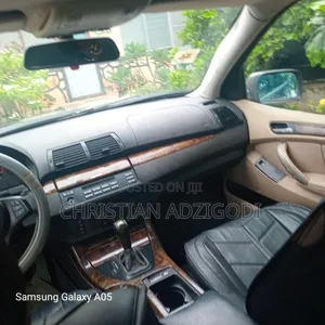 BMW X5 2010 Gray