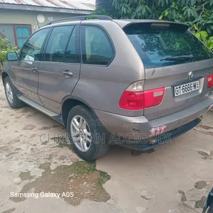 BMW X5 2010 Gray