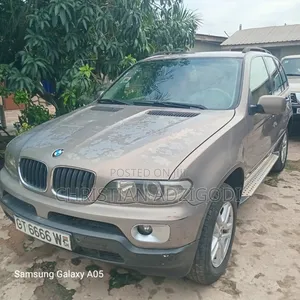 BMW X5 2010 Gray