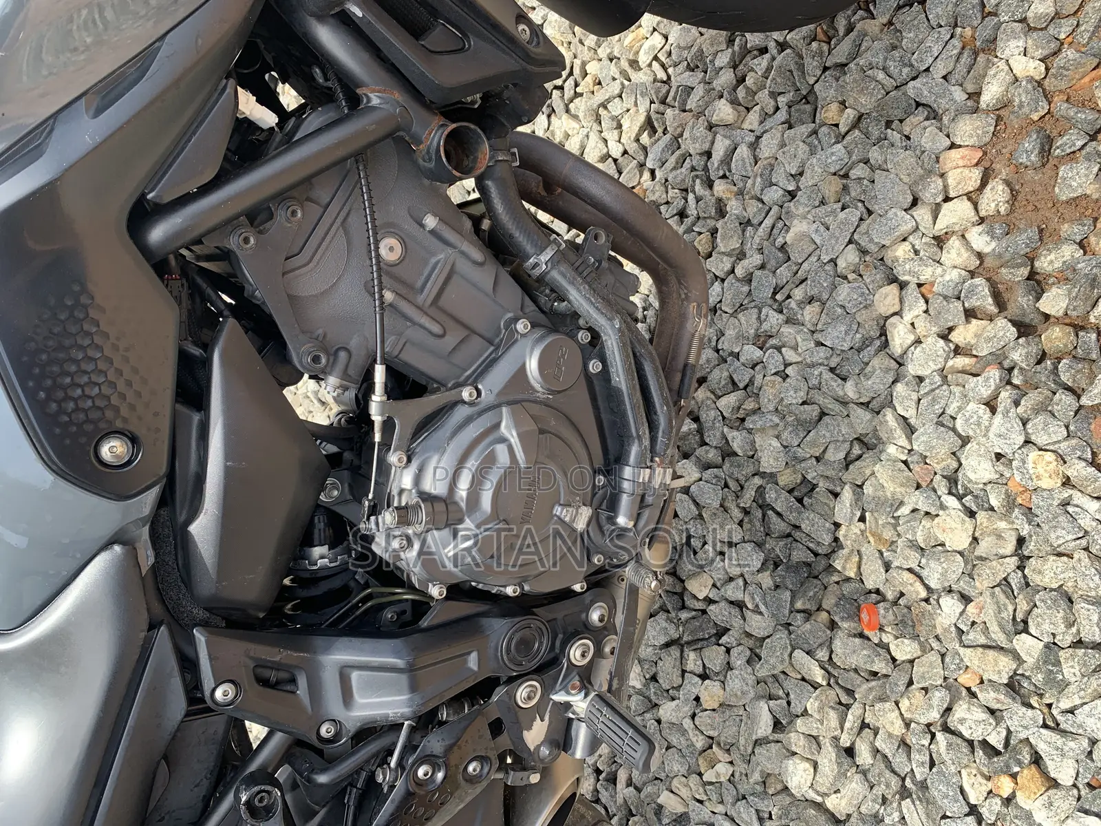 Yamaha 2023 Beige