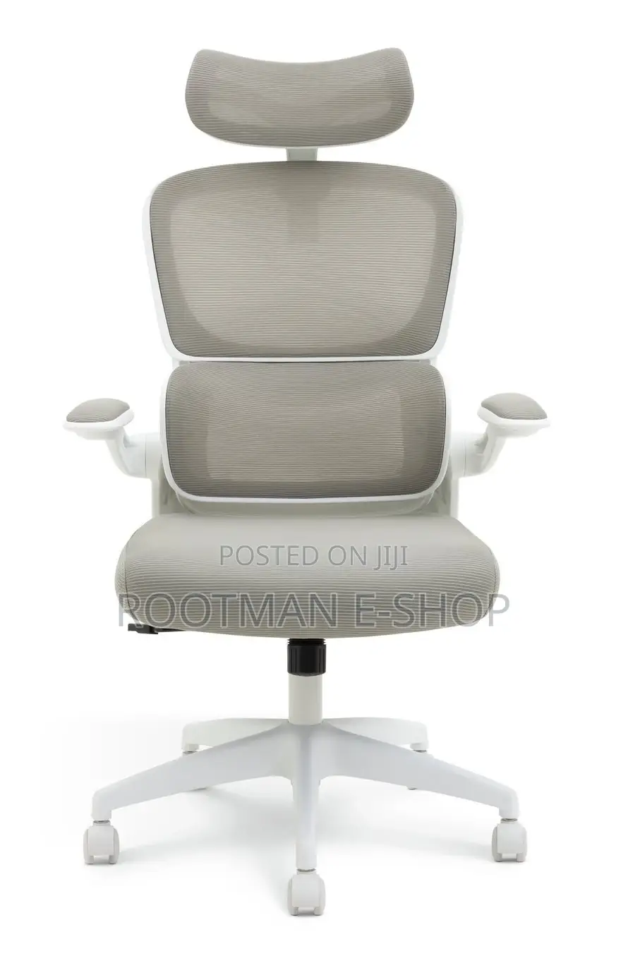 Hylone Ergonomic Office Chair With a Gray Mesh Backrest