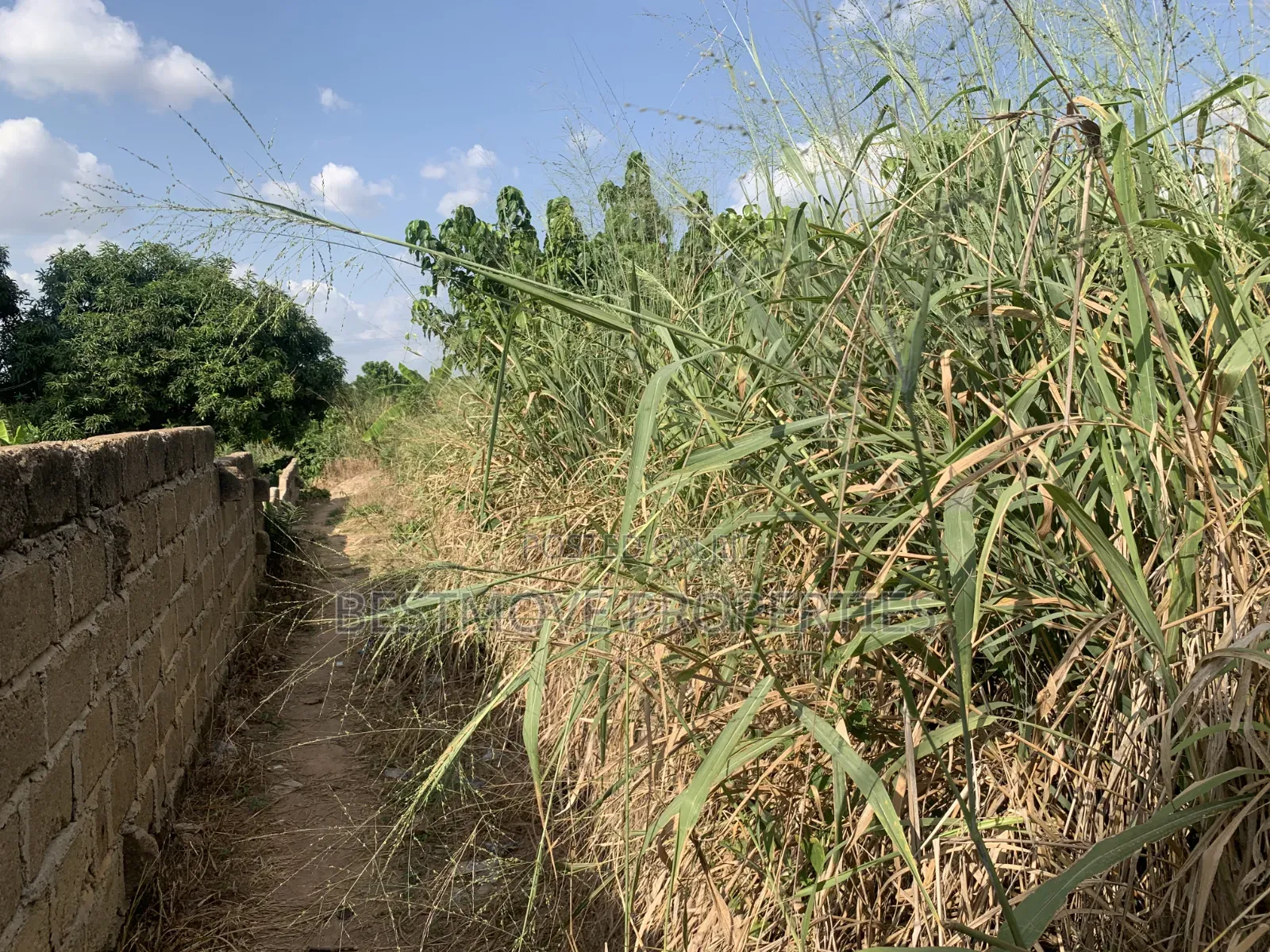Half Plot for Sale at Buokrom Estate Truba