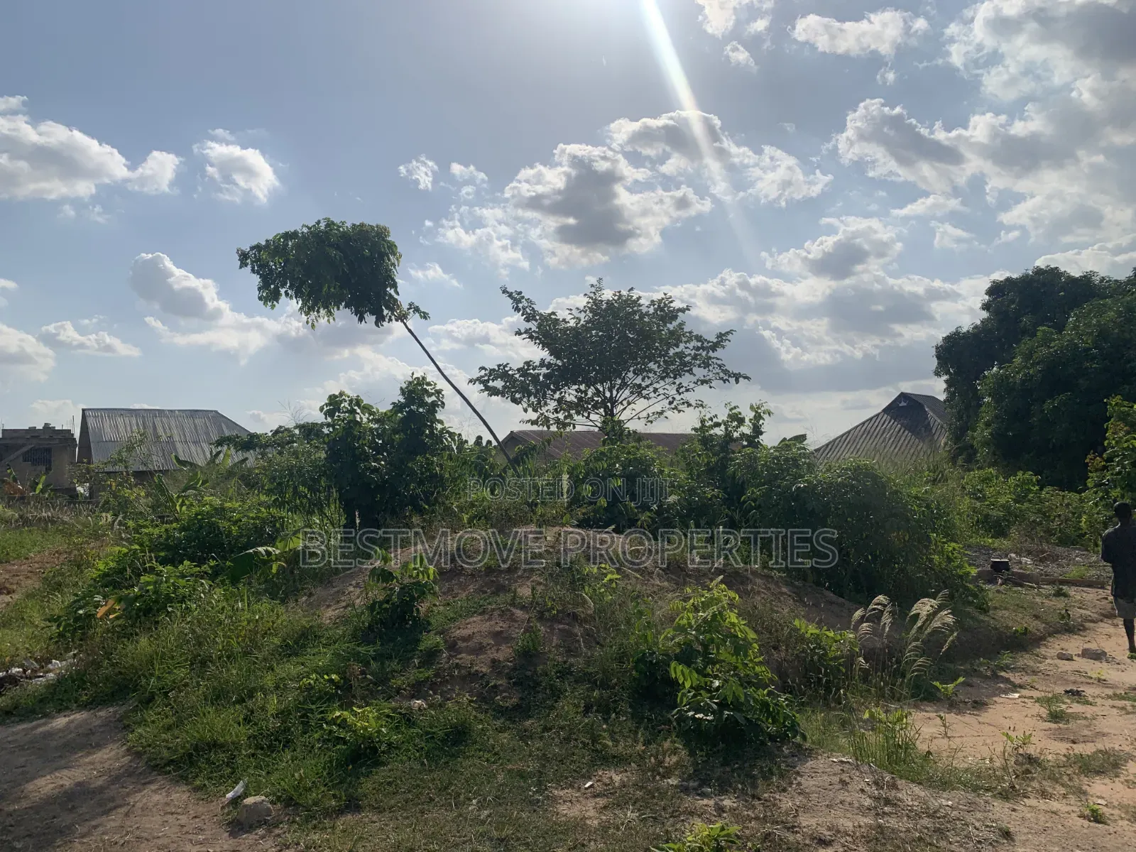 Half Plot for Sale at Buokrom Estate Truba
