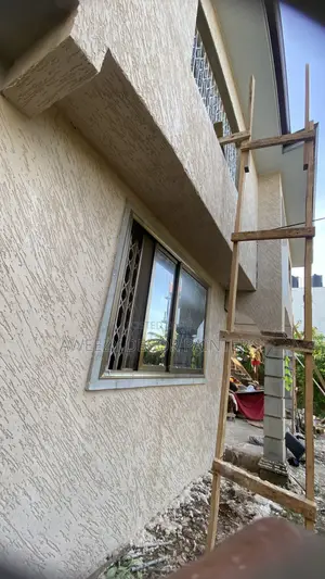 Graffiato Paint#Painting#Stucco#Text Coat#Skimming#Designs#Metalic