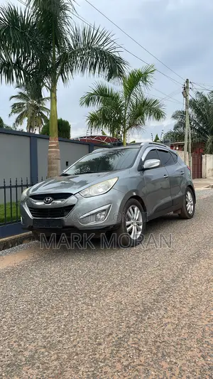 Hyundai Tucson 2010 Gray