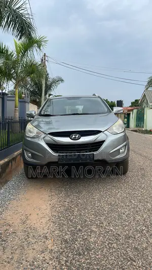 Hyundai Tucson 2010 Gray