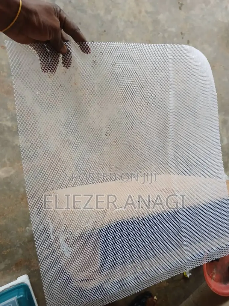 Incubator for Sale