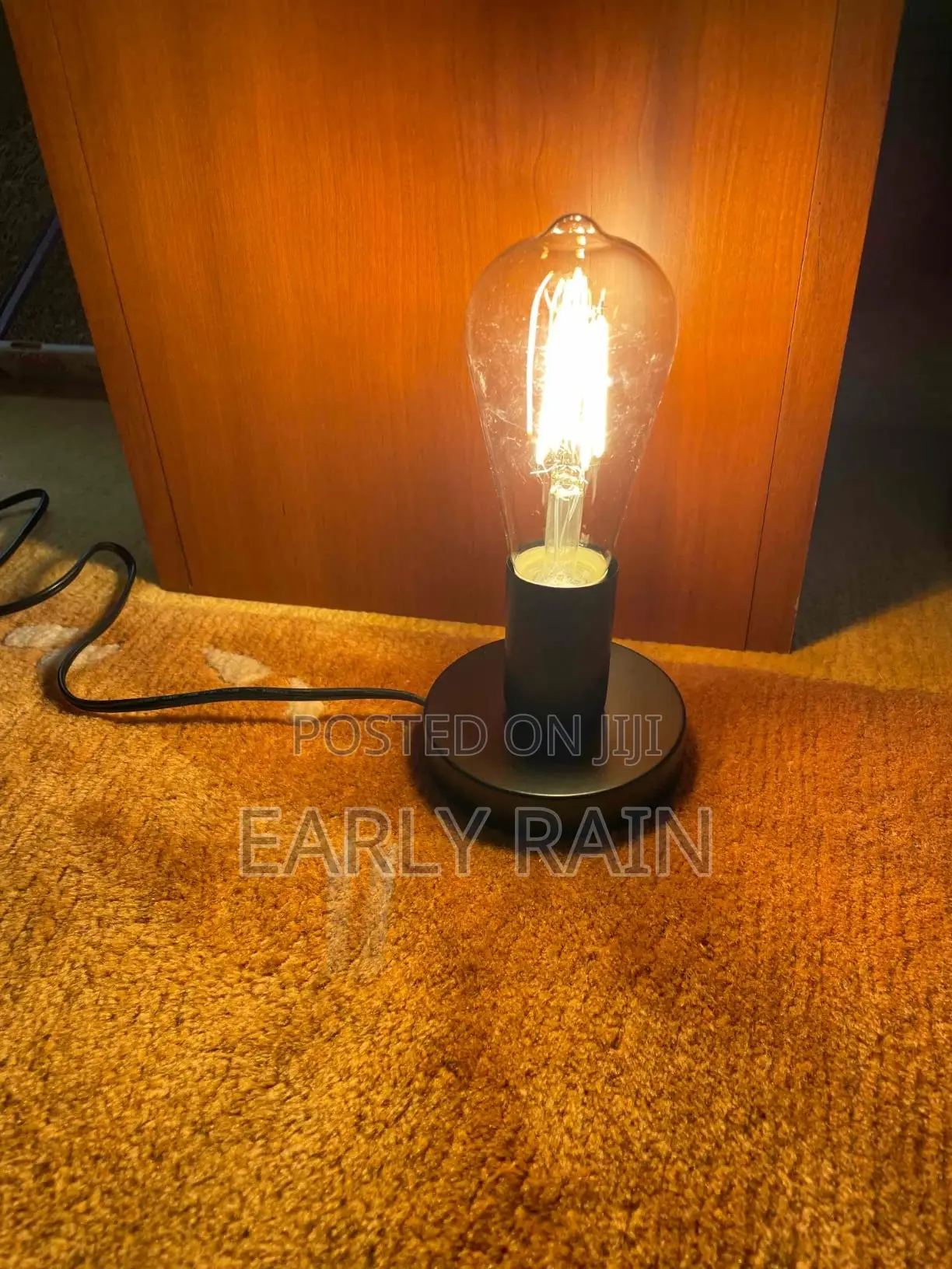Metal Edison Light Bulb Stand, With Cord Switch Plug Bulb Base Holder