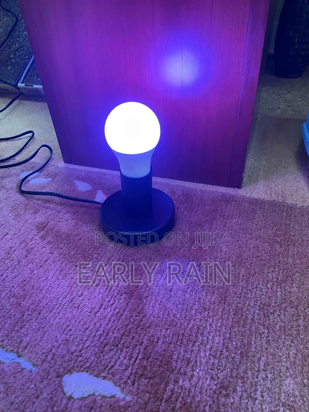 Metal Edison Light Bulb Stand, With Cord Switch Plug Bulb Base Holder
