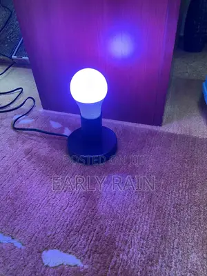Metal Edison Light Bulb Stand, With Cord Switch Plug Bulb Base Holder