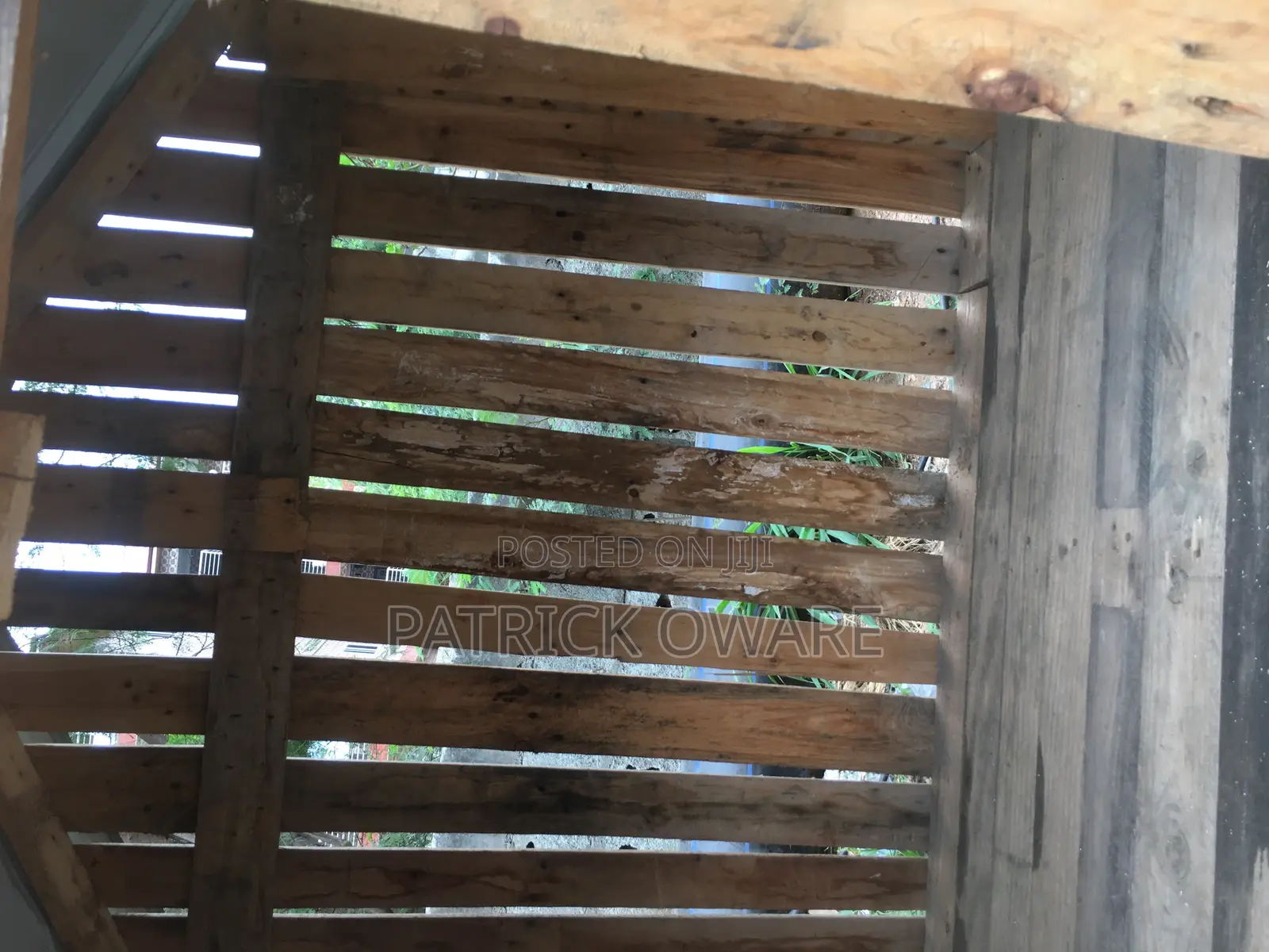 Dog Kennel