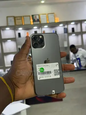Apple iPhone 12 Pro Max 128 GB Gray