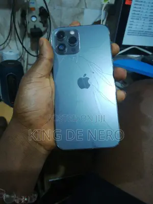 Apple iPhone 12 Pro Max 256 GB Gray