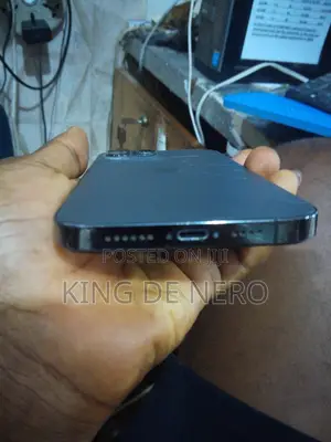 Apple iPhone 12 Pro Max 256 GB Gray