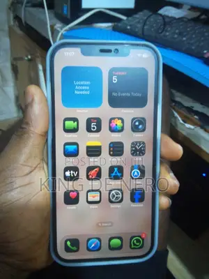 Apple iPhone 12 Pro Max 256 GB Gray