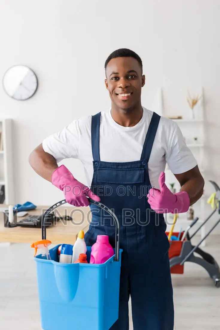 Home Cleaning and Re-Organization Service