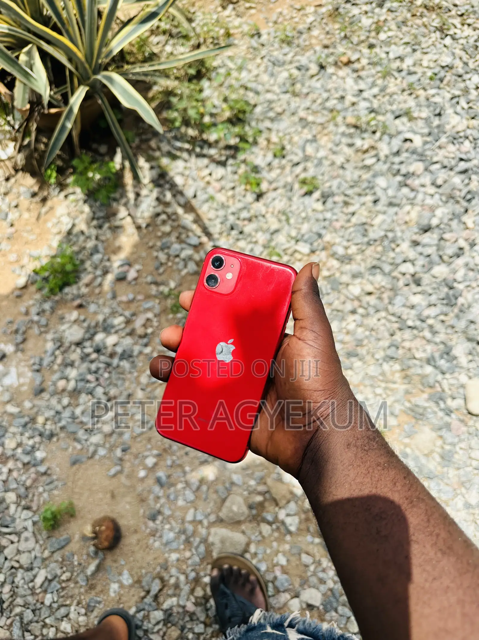 Apple iPhone 11 64 GB Red