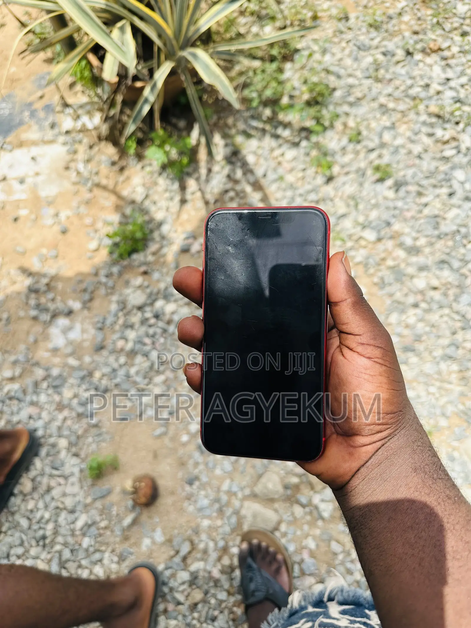 Apple iPhone 11 64 GB Red