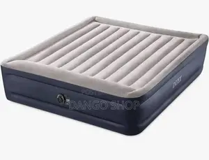 Intex Queen Air Mattress