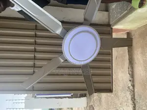 Ceiling Fan With Light / Chandelier Fan Light