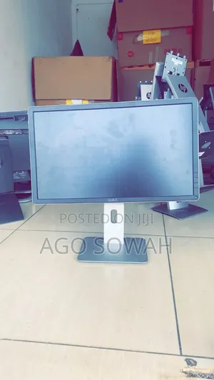 Dell 24 Inch Monitor