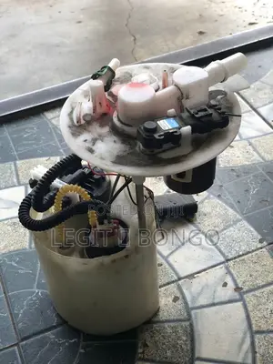 Genuine Car Fuel Pump