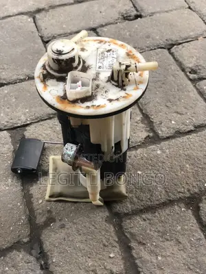 Genuine Car Fuel Pump