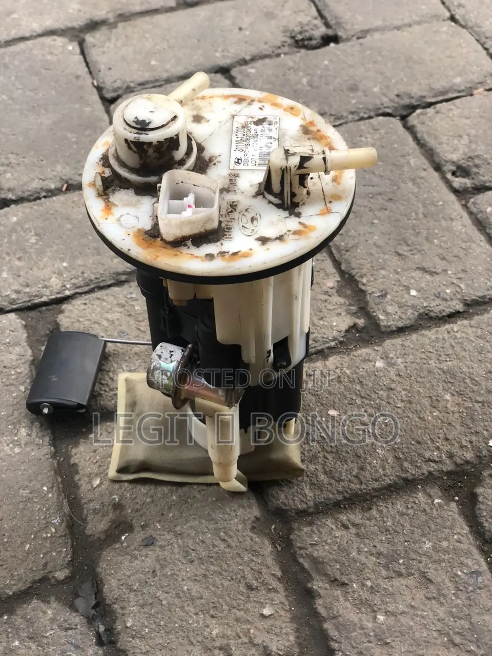 Genuine Car Fuel Pump