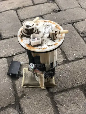 Genuine Car Fuel Pump