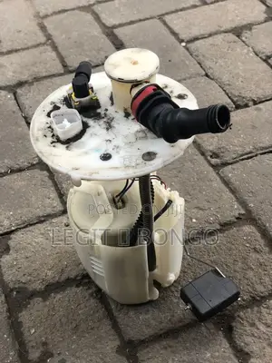 Genuine Car Fuel Pump