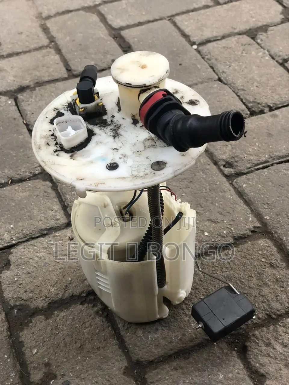 Genuine Car Fuel Pump