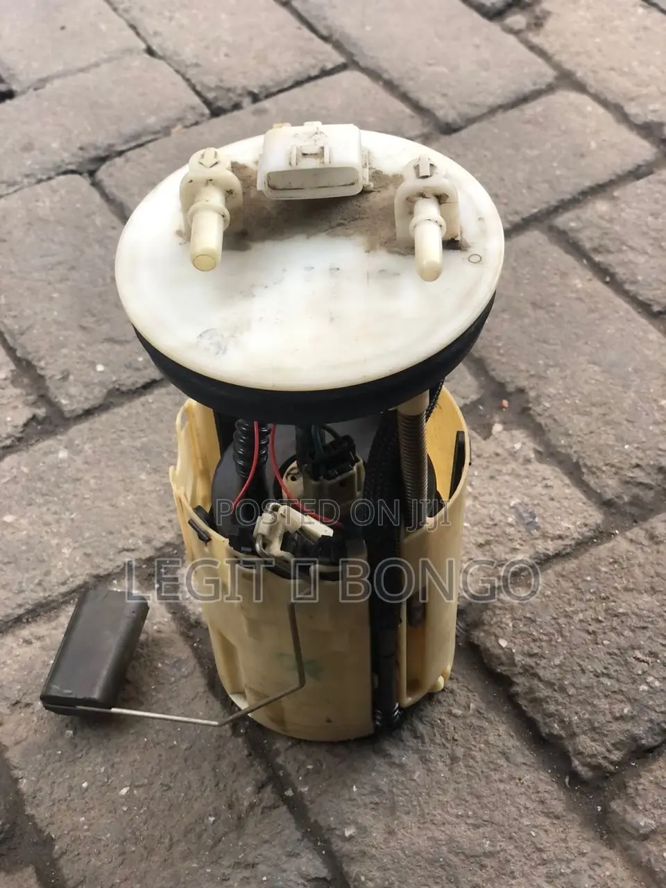 Genuine Car Fuel Pump